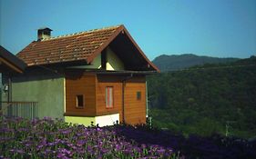 B&B Cip E Ciop